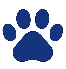 Pet Care